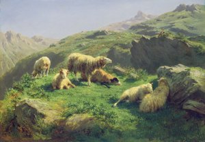 رعي الأغنام في جبال البرانس